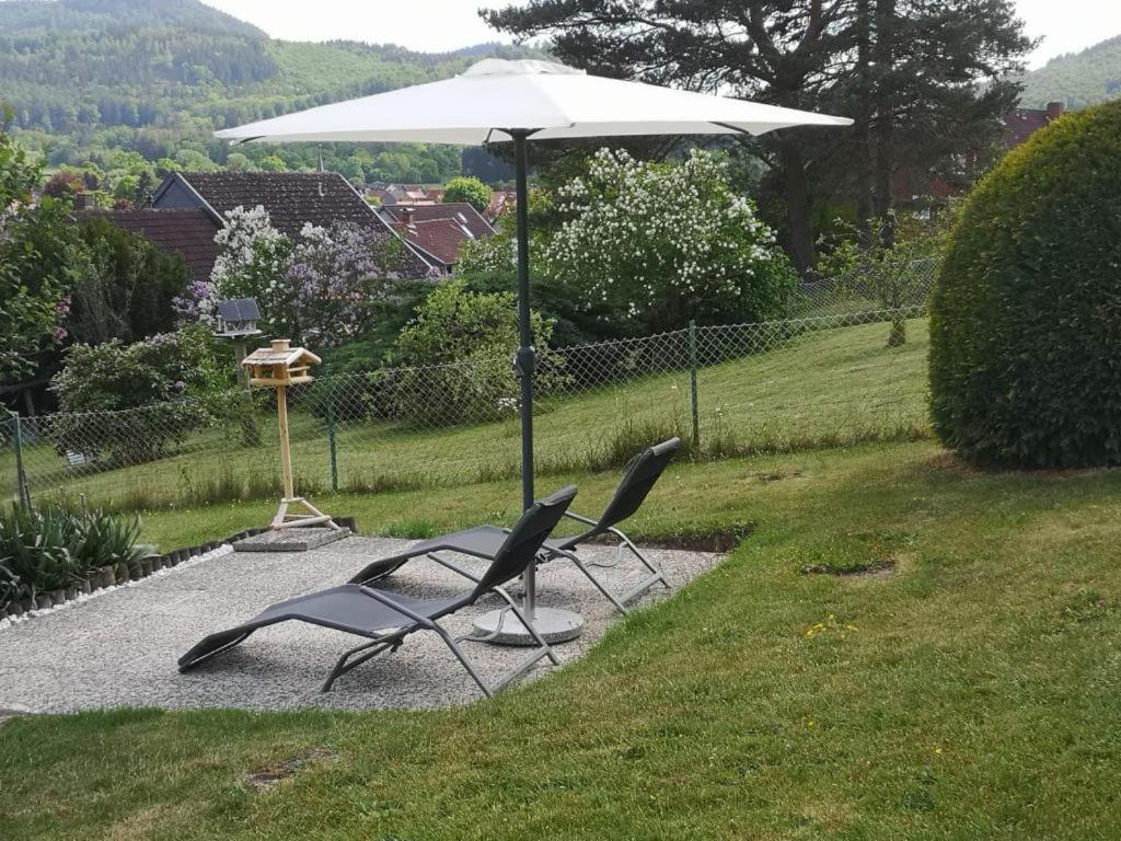 Casa Carlotta - Keine Monteure Villa Langelsheim Eksteriør bilde